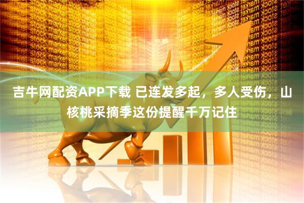 吉牛网配资APP下载 已连发多起，多人受伤，山核桃采摘季这份提醒千万记住
