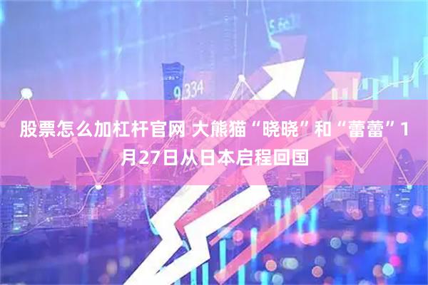 股票怎么加杠杆官网 大熊猫“晓晓”和“蕾蕾”1月27日从日本启程回国